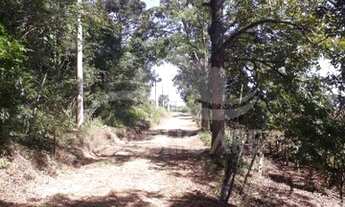 Imagem 3: FLORES DA CUNHA - Sítio - Centro