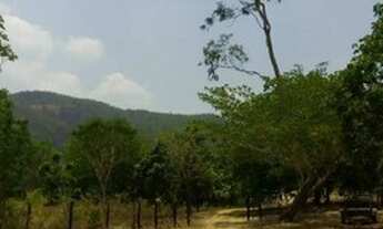 Imagem: Terreno/Loteamento- Colinas do Sul/GO