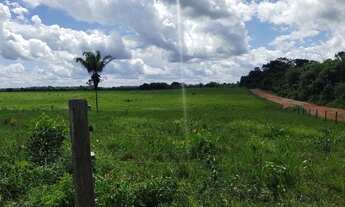 Imagem 2: R$2.3 milhões 175 hectares com 80% aberto há 50 km de Belém