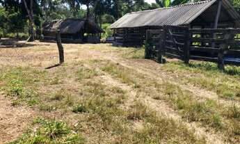 Imagem 6: Vendo Chacara de 6,4 hects , [ 1,32 ] alqs. proxima a Lajeado