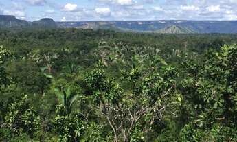 Imagem 6: Fazenda de 425 hectares proxima a Miracema