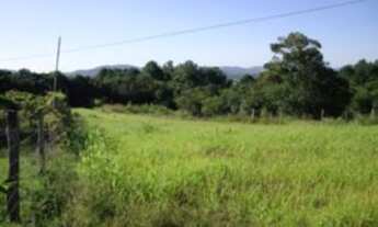 Imagem: Porto Alegre - Terreno Padrão - Chapéu