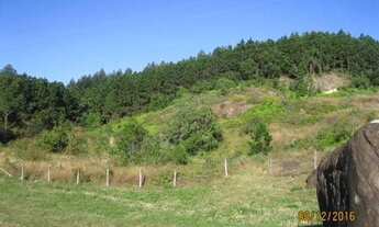 Imagem: Excelente área na BR 101 em Tijucas - possibilidade