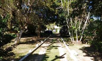 Imagem 5: Grota Funda - Sítio com 8mil Metros quadrados e ampla área verde