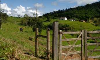 Imagem: Imóvel Rural a Venda em Iguai-BA 95 hect