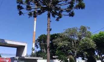 Imagem: Sobrado com 3 dormitórios à venda, 89