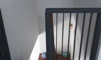 Imagem 7: Troco casa por sítio em Campo Grande - perto do west shopping