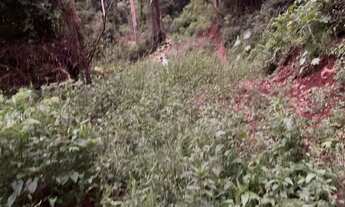 Imagem 2: 113767 - CHÁCARA COM 1,75 HA, FIBRA ÓTICA VERTENTE MATERIAL PARA CONSTRUÇÃO VISTA P/ L..