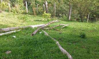 Imagem 7: LINDA CHÁCARA EM TAQUARA