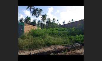 Imagem 4: Próximo ao Broma 13,00X37,00 e. 8,00X37,60