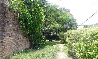 Imagem 6: Terreno para Venda - 0m², 0 dormitórios, Tristeza