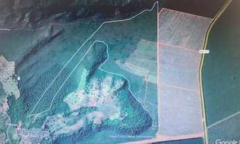 Imagem 7: Fazenda de 74,5 hectares para eucalipto, gado ou soja