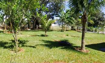 Imagem: Fazenda/Sítio/Chácara para venda tem 208