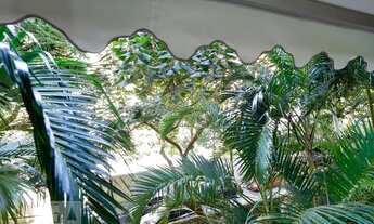 Imagem 5: Apartamento para Aluguel - Jardim Marajoara , 3 Quartos, 74 m2