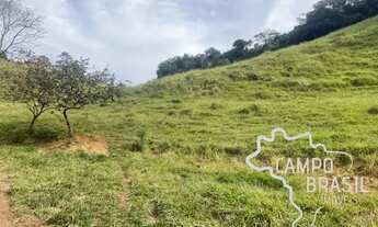 Imagem 4: ÁREA RURAL 30.000M² COM TOPOGRAFIA MISTA E NASCENTE EM JAMBEIRO !