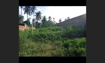 Imagem 6: Próximo ao Broma 13,00X37,00 e. 8,00X37,60