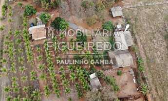 Imagem 6: Propriedade Rural na Região de #Olímpia SP