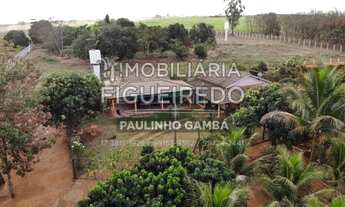 Imagem: Propriedade Rural na Região de Olímpia