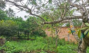 Imagem 7: Casa térrea para venda com 3 quartos na Praça Kennedy - Alagoinhas - BA