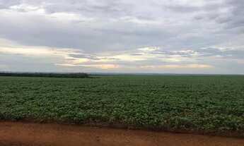 Imagem 5: Fazenda 3.364hec em Lucas do rio verde, 1.800 abertos R$:700 sacas área aberta