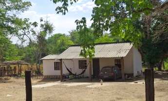 Imagem 6: Fazenda à Venda - 33 Alqueires - Niquelândia - GO