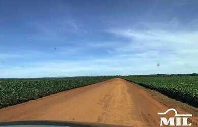 Imagem 7: Fazenda Agrícola em Acreúna-GO. 130 Alqueires (629 Hectares)