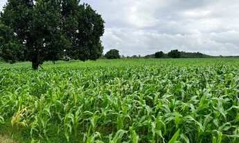 Imagem 7: Fazenda, propriedade, sitio, chácara, terreno, área territorial