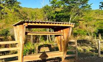 Imagem 7: Vende-se fazenada em Faina-Goias com 55 Alqueires