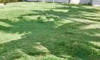 Imagem 3: Alugamos casa de praia Aracaju. Informações só pelo zap