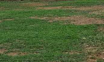 Imagem 4: Terreno em ótimo local