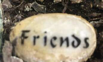 Imagem 6: Divido apartamento