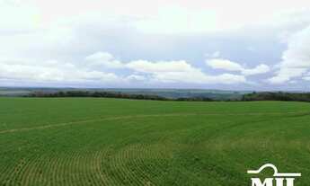 Imagem 2: Fazenda em Mineiros-GO. (208 Alqueires