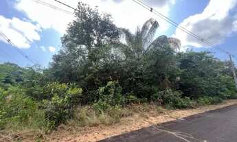 Imagem 6: Terreno na Chácara Janauary 2 - Excelente