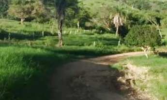 Imagem 4: Chácara 4.34 alq. em Americano do Brasil 1.700.000