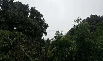 Imagem 4: Imóvel no Vista Alegre, Ivoti