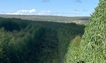 Imagem 7: Fazenda 404 hectares Próximo a Salinas/MG