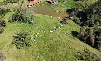 Imagem 2: Fazendinha 8 Alqueires Bela Vista