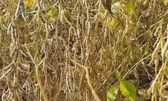 Imagem 2: Fazenda a venda em Barro Alto / Goiás!!!