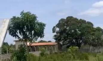 Imagem 2: Vendo ou troco Meia tarefa de terra em Magalhães