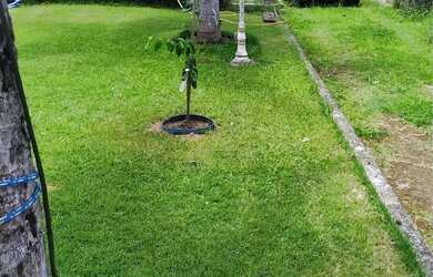 Imagem 7: Casa com amplo terreno