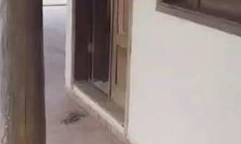 Imagem 6: Oportunidade/Investimento ou Moradia!!!Augusta Mota.