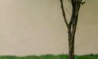 Imagem 3: Casa mendanha Casa em condomínio com 1 dormitório