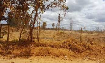 Imagem 6: TERRENO - LOTE 2.000M2 - BALDIM