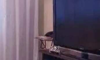 Imagem 4: Sobrado com 3 dormitórios à venda, 244 m² por R$ 880.000,00 - Jardim Utinga - Santo André