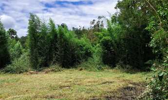 Imagem 4: Vende-se terreno inhayba, estrada das laranjeiras