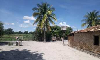 Imagem: Fazenda ou roça