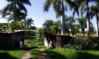 Imagem 3: Chácara para Venda em Presidente Bernardes, AGUIAS, 4 dormitórios, 4 suítes, 2 banheiros