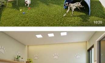 Imagem 4: CCS -Lançamento 2 ou 3 Qtos, com suite na Cid. Universitária