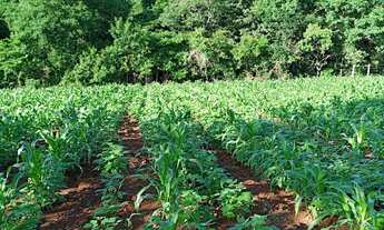 Imagem 7: Ótimo Acesso//Sitio Escriturado//Área total 10 HECTARES///Saída Pirapora..