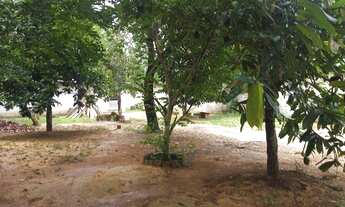 Imagem 5: Iranduba- Manaus - AM